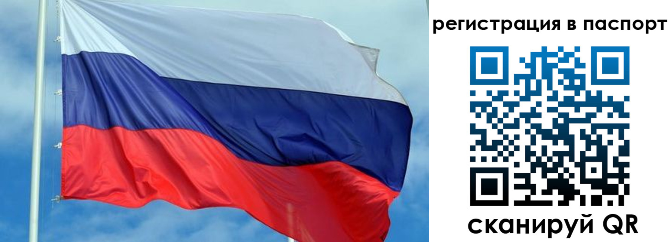 прописка от собственника в Новомосковске
